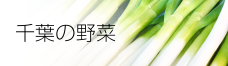 千葉の野菜